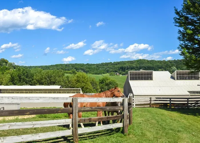 Tasteful Townhome W/ Community Amenities *